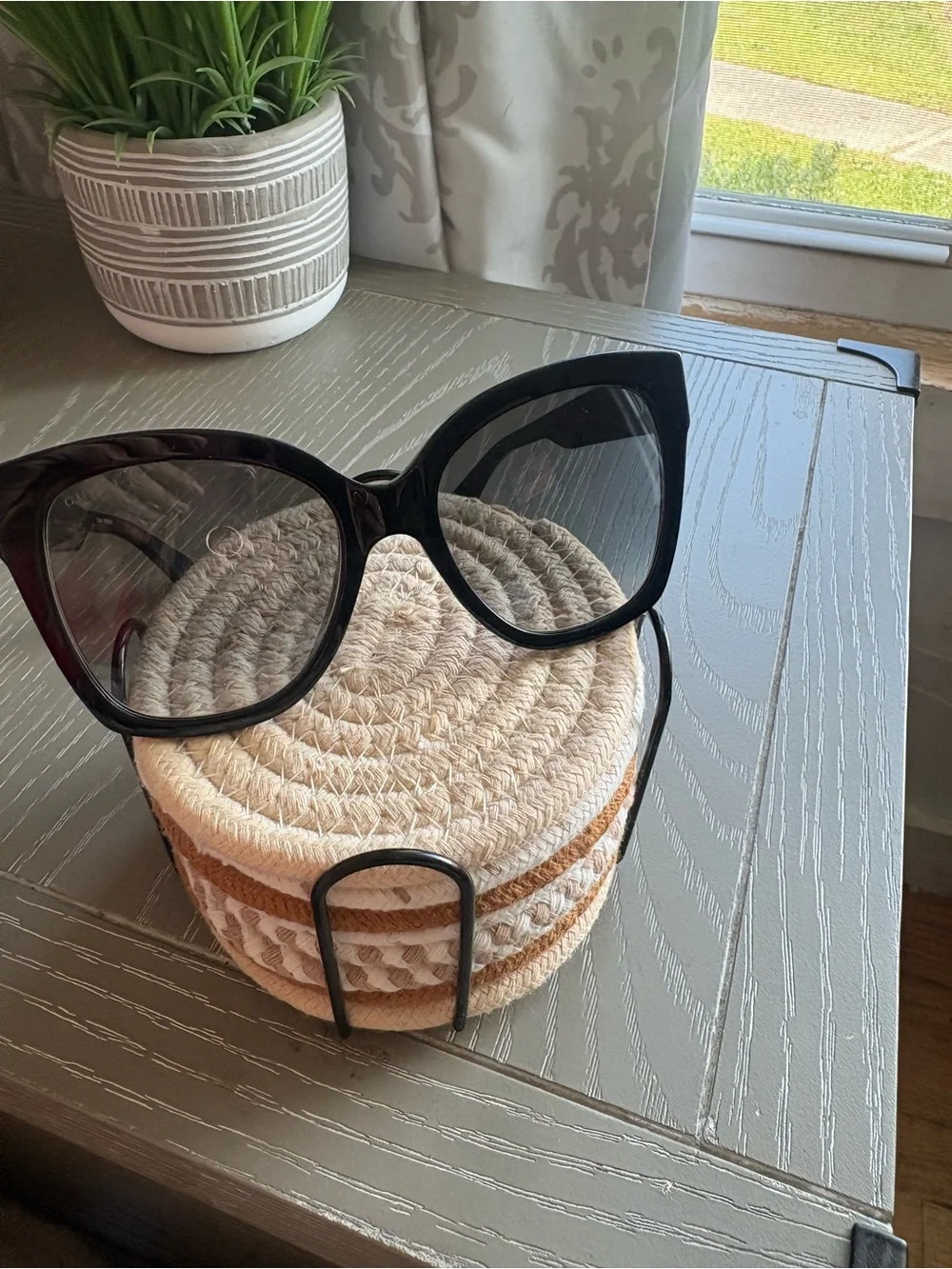 Gucci stylish cat